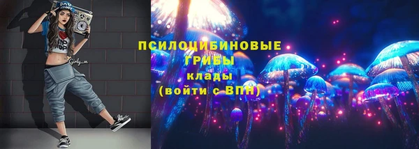 Альфа ПВП Пролетарск