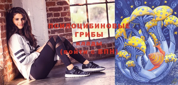 Альфа ПВП Пролетарск